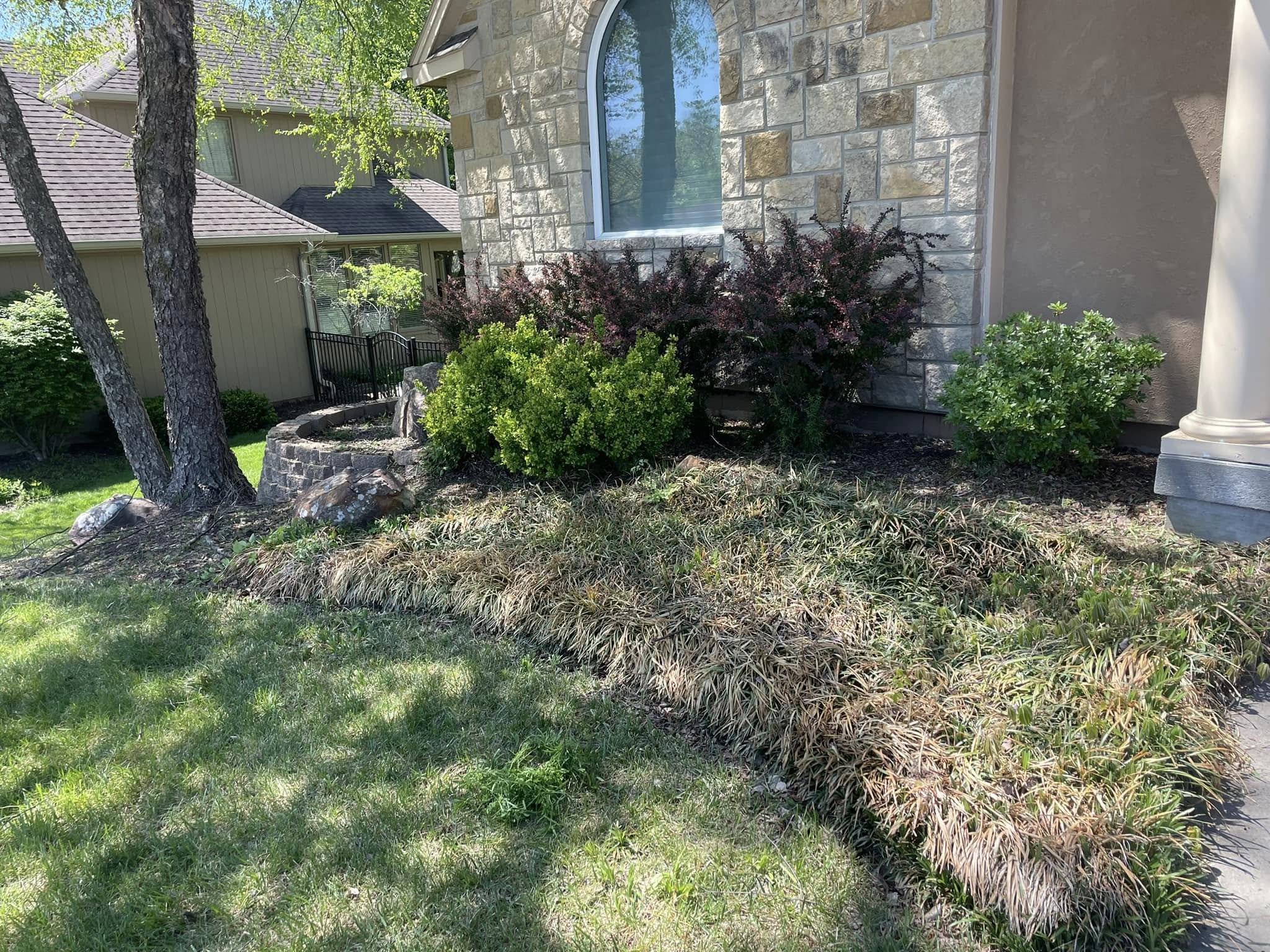 After lawn project