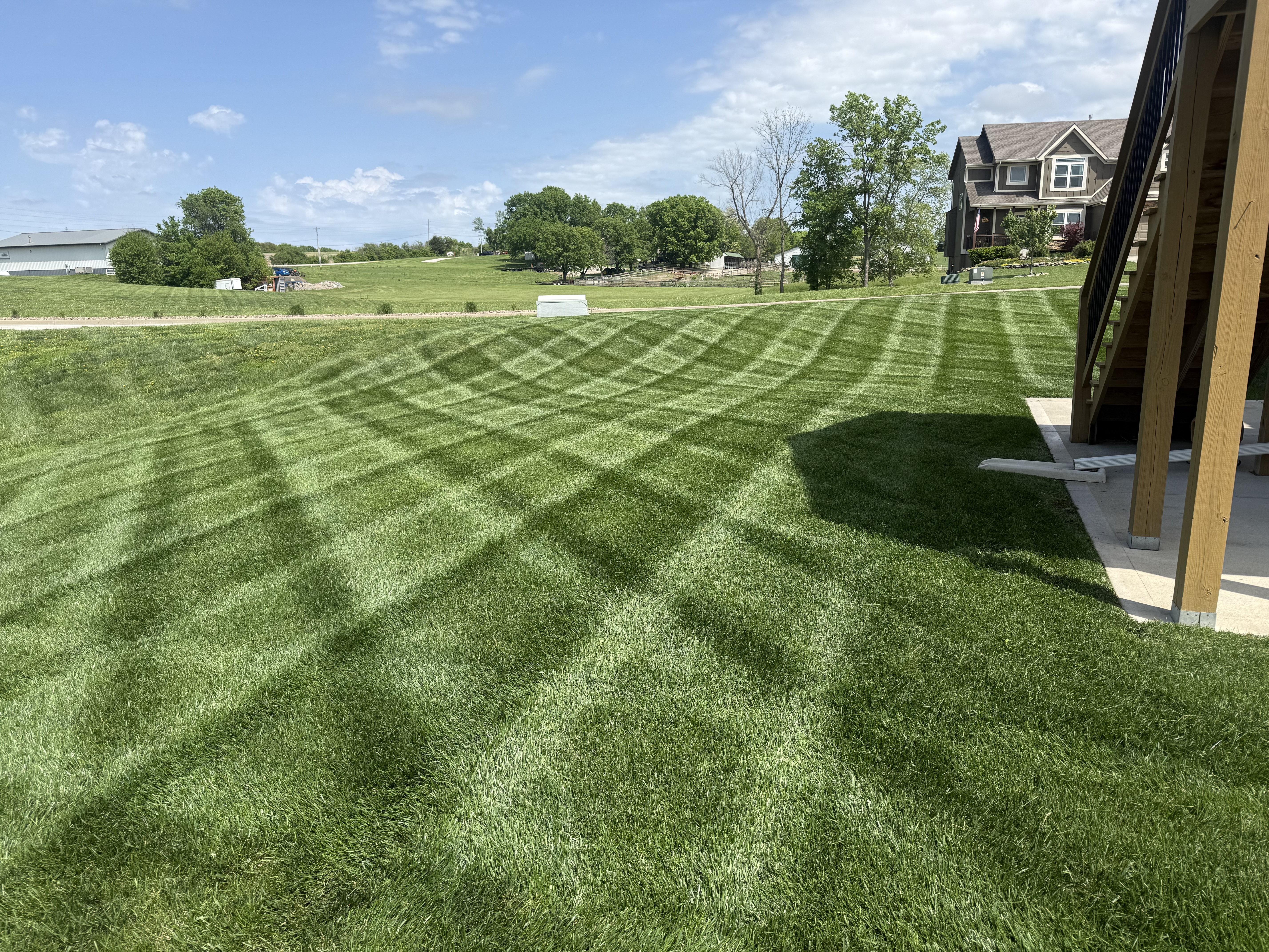 Fresh lawn stripes by Capitol Lawn and Landscape
