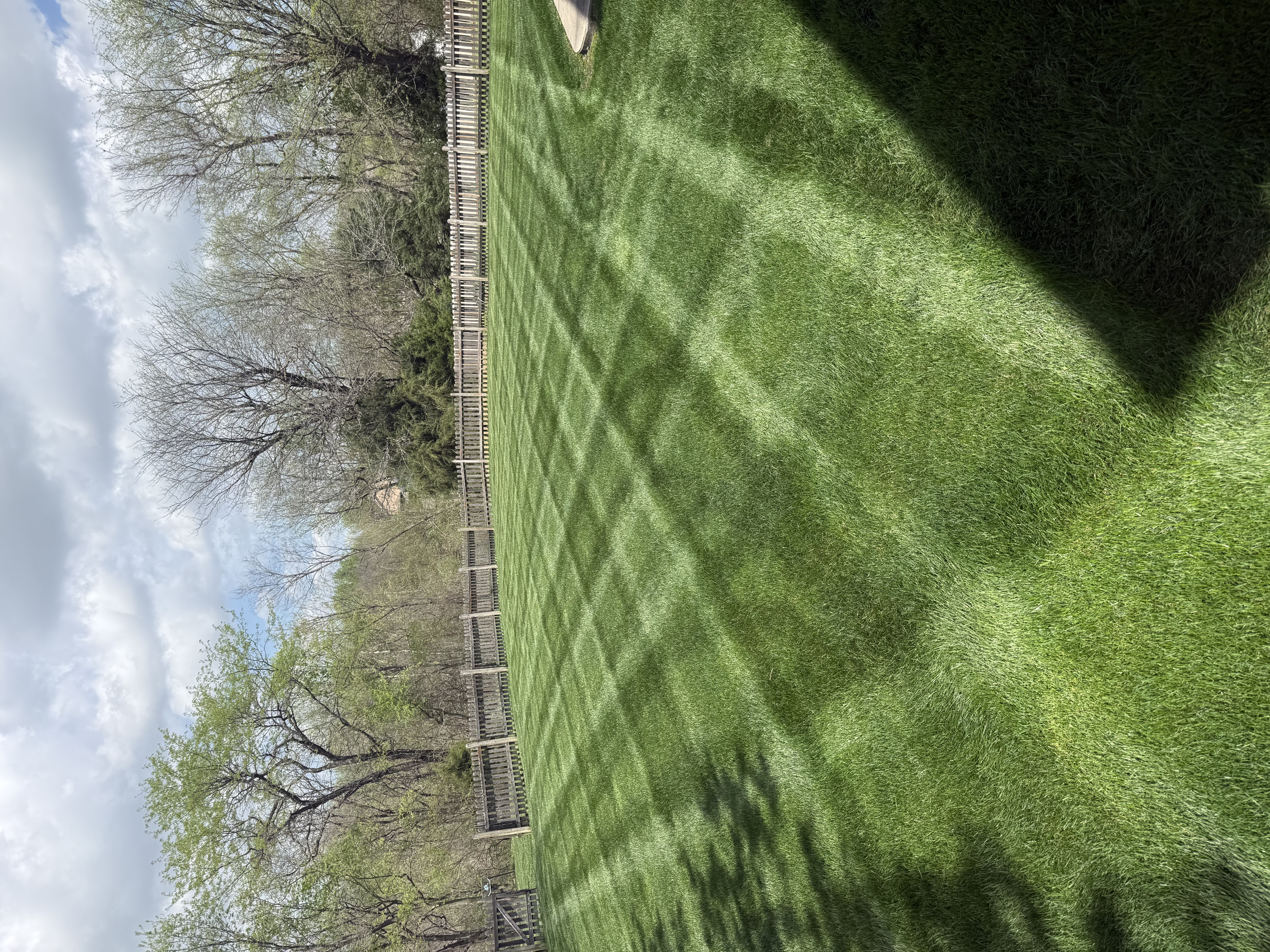 Fresh lawn stripes by Capitol Lawn and Landscape