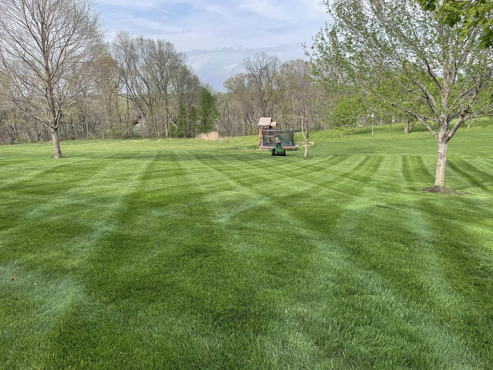 Lawn care project by Capitol Lawn and Landscape