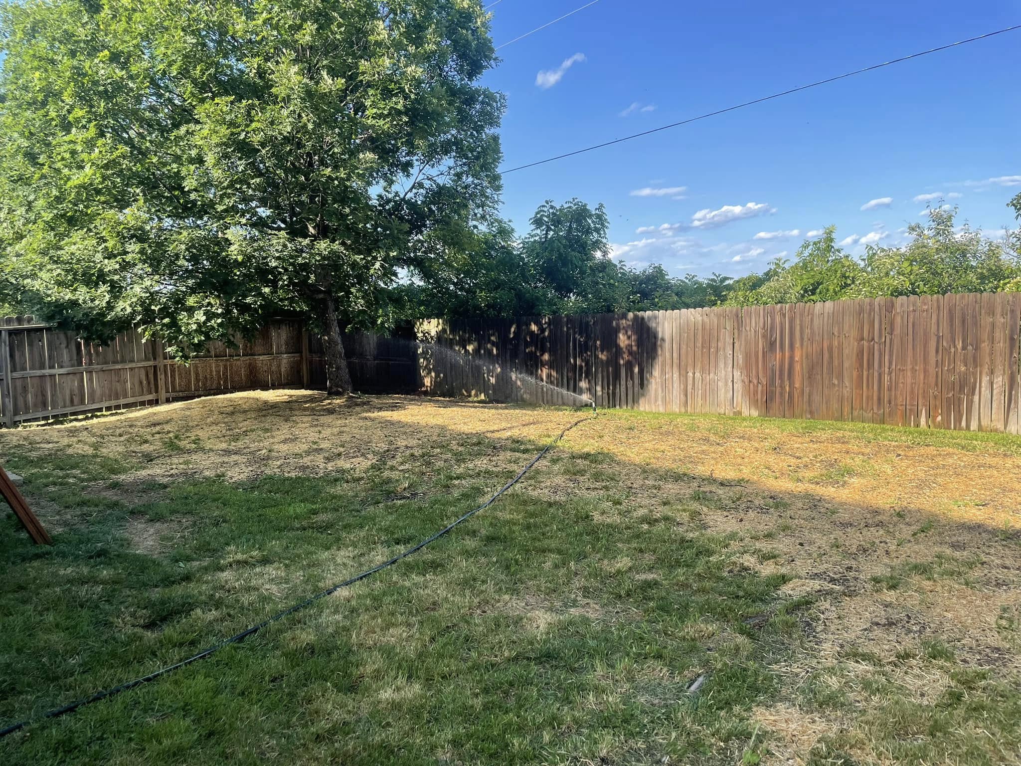 Before landscape project