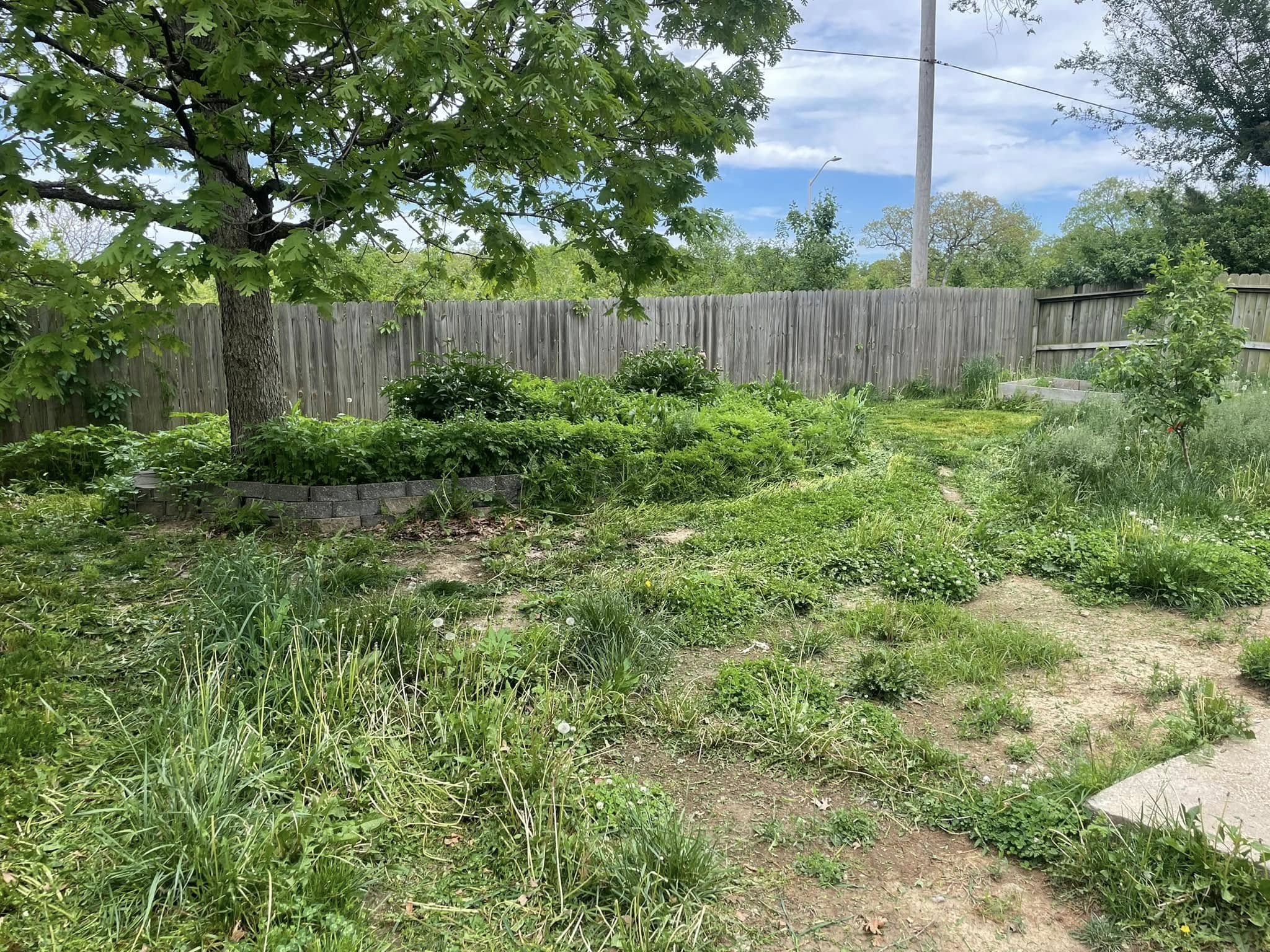 After landscape project