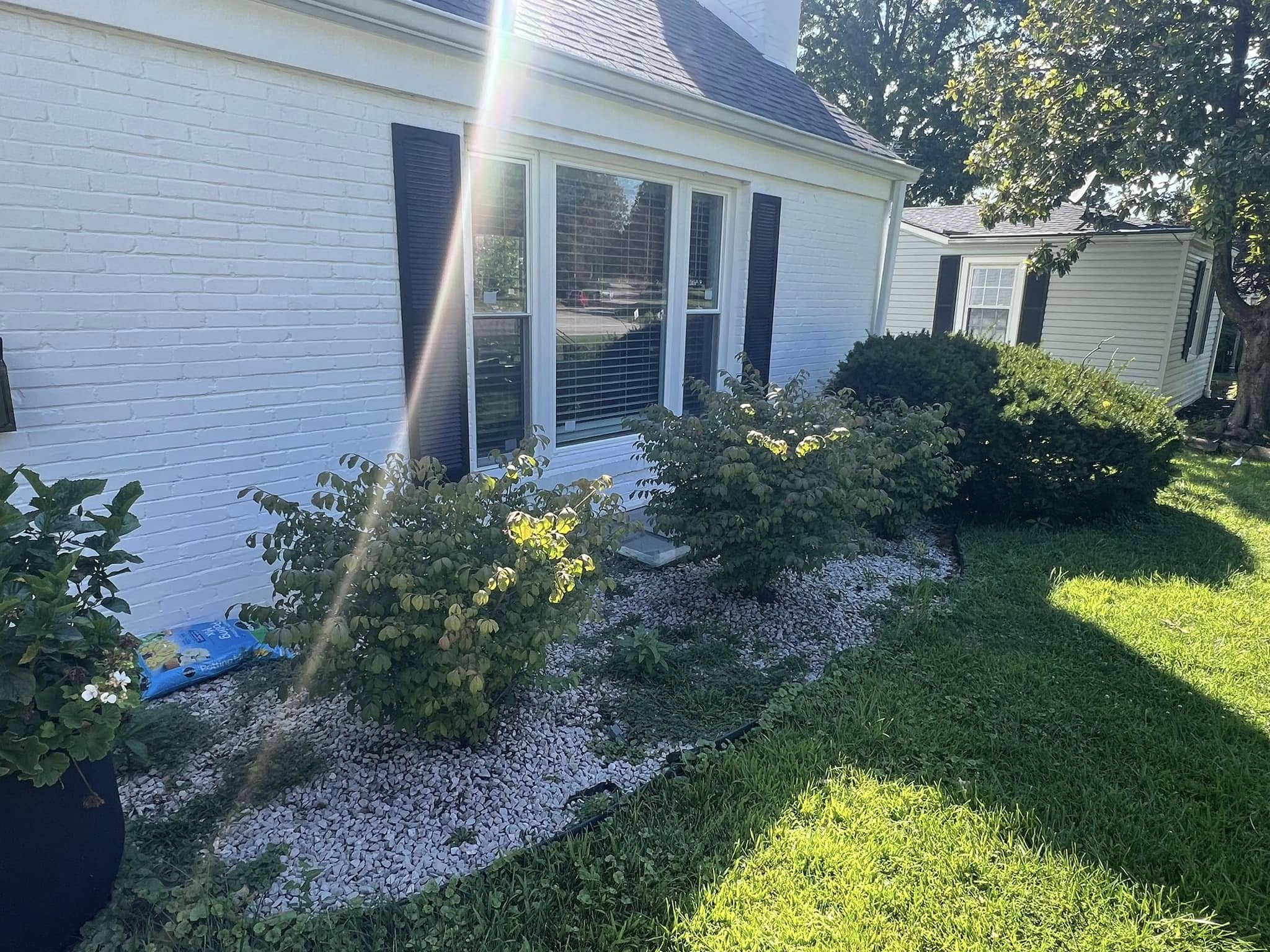 After cleanup project
